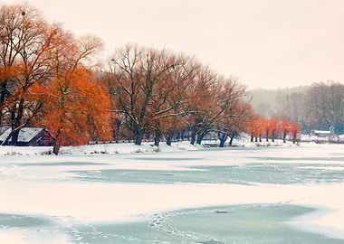 Winter Landscape With Firs