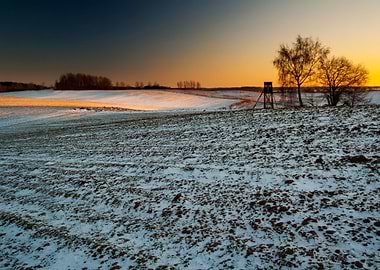 Winter Field Sunset