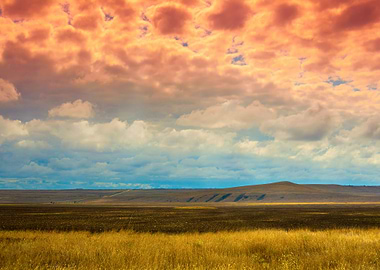 Field With Cloudy Sky At S