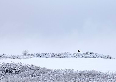 Stunning Backgrounds