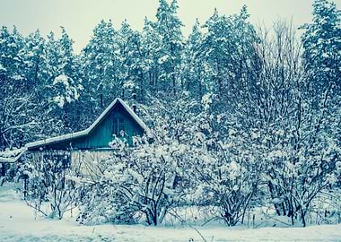 Snowy Winter Rural Landsca