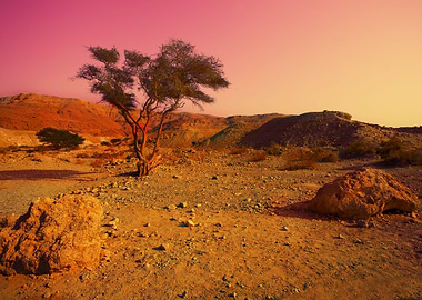 Sunrise Over Desert In Isr