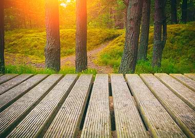 Wooden Walkway In The Fore