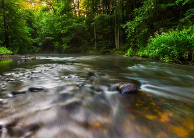 Beautiful Landscape With S