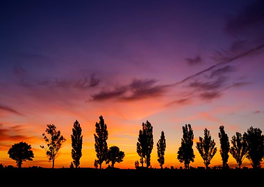 Sunset Over Rural Field