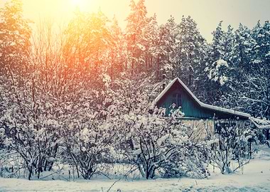 Snowy Winter Rural Landsca