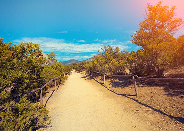 Dirt Road In The Park