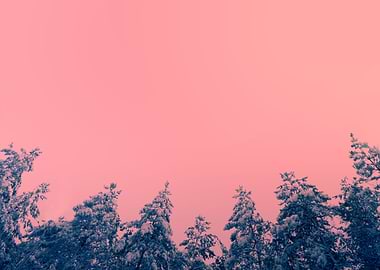 Vintage Background With Pi