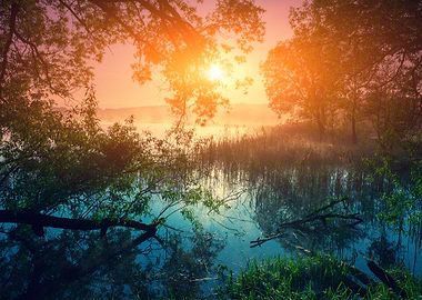 Rural Landscape Misty Morn