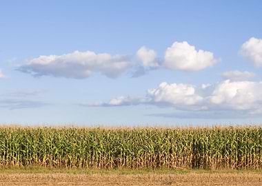 American Farmland With Blu