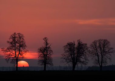 Sunset Over Rural Field