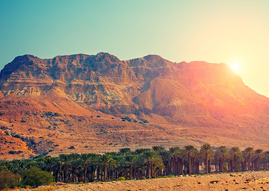 Judean Desert In Israel At
