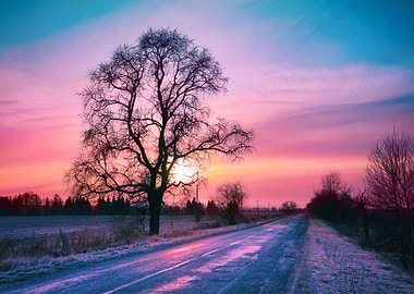 Snowy Rural Road At Sunset