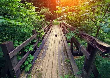 Old Broken Wooden Bridge