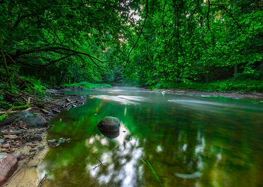 Beautiful Wild River In Su