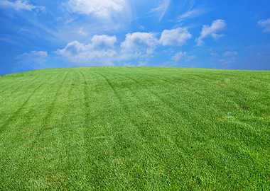 Green Lawn With Blue Sky