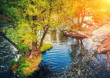 River Bank With Rocks
