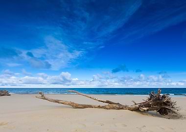 Beach Landscape Baltic Coa