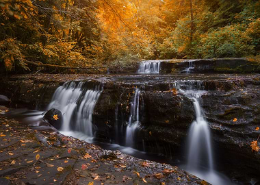 Waterfall in autumn forest