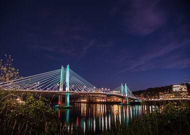 Tillikum Crossing Twilight