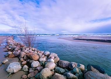 Delta In The Daytime Rocky