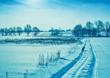 Winter Snowy Field Blue To