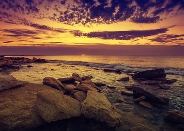 Wild Rocky Beach At Dawn