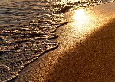 Beach In The Evening