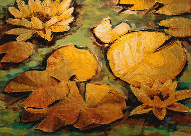 water lilies gold