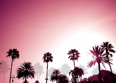Palm Trees Sunset Retro