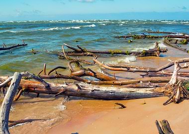 Wild Desert Beach With Fal