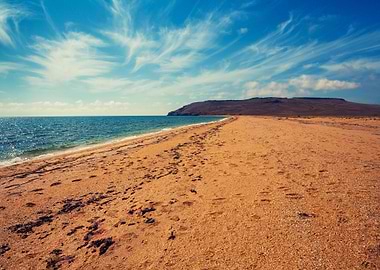 Wild Desert Sand Beach