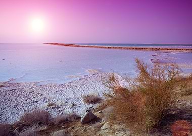 Dead Sea Salty Shore At Su