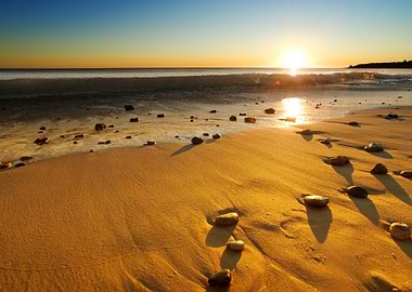 Beach Sunset