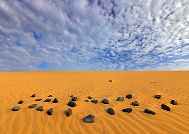 Yellow Sand Summer Dry Lan