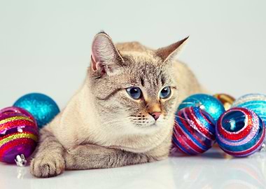 Cat With Christmas Decorat