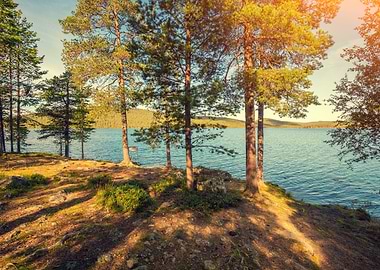 Lake Shore In Sunny Day Pi