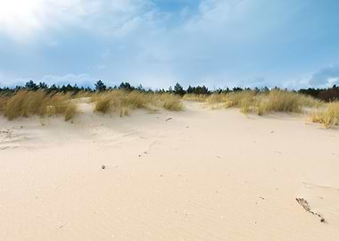 Sea Shore With Grass Beaut