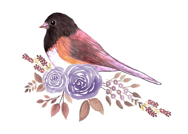Junco with flowers