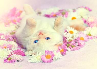 Cute White Kitten Relaxing