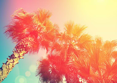 Vintage Frame With Tropic