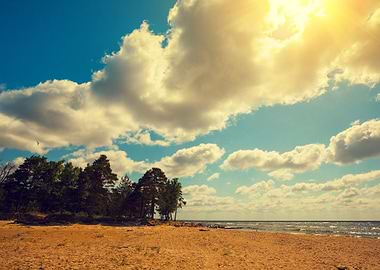 Wild Desert Beach With Pin