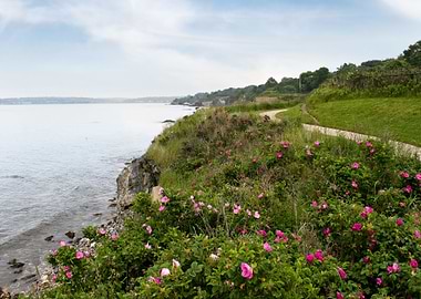 Newport Rhode Island Shore