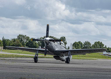 P51 TF51D Mustang