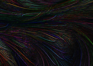 Illustration Color Art 05