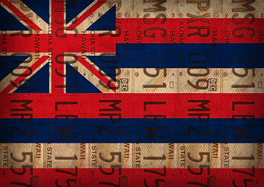 Hawaii State Flag License