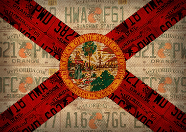 Florida State Flag License