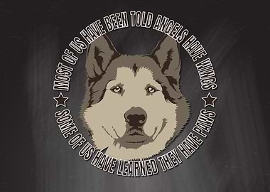 Paws Alaskan Malamute