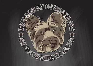 Paws Yorkshire Terrier