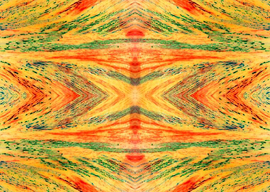 Patterns from Nature